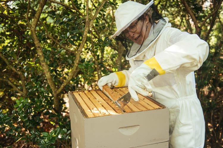 6.21.2023.BEES.Angelina-9118.jpg