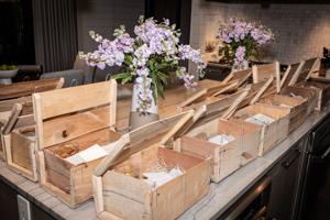 SwanBallAuctionParty-4268.jpg