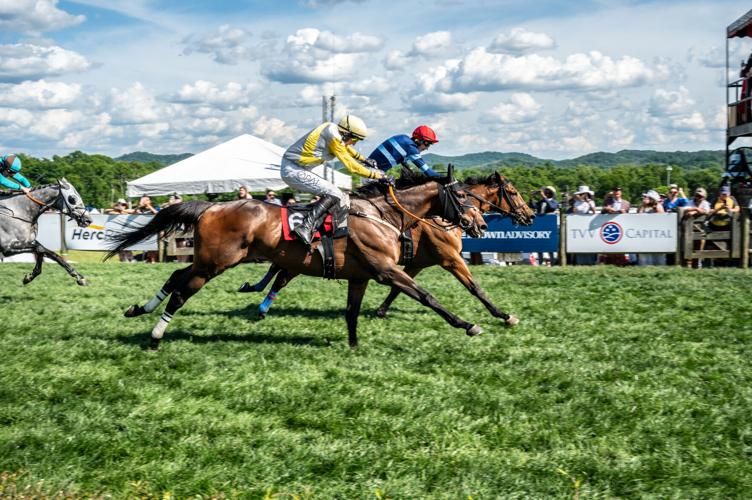 SteepleChase26-1413.jpg