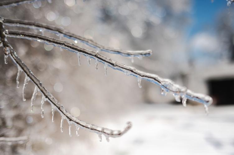 1.26.2026.IceStorm-1922.jpg