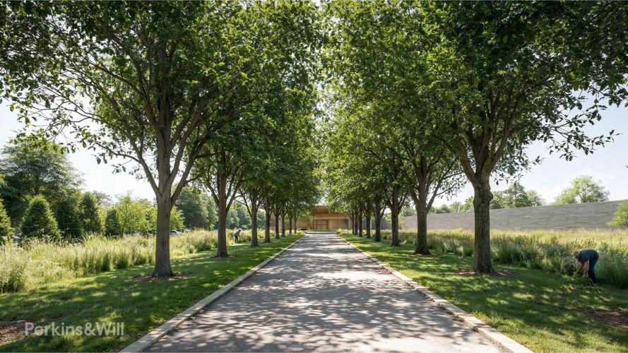 01_New Entry Road.jpg