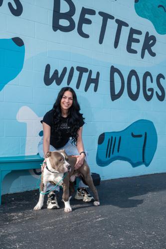 Wags&Walks-8183.jpg
