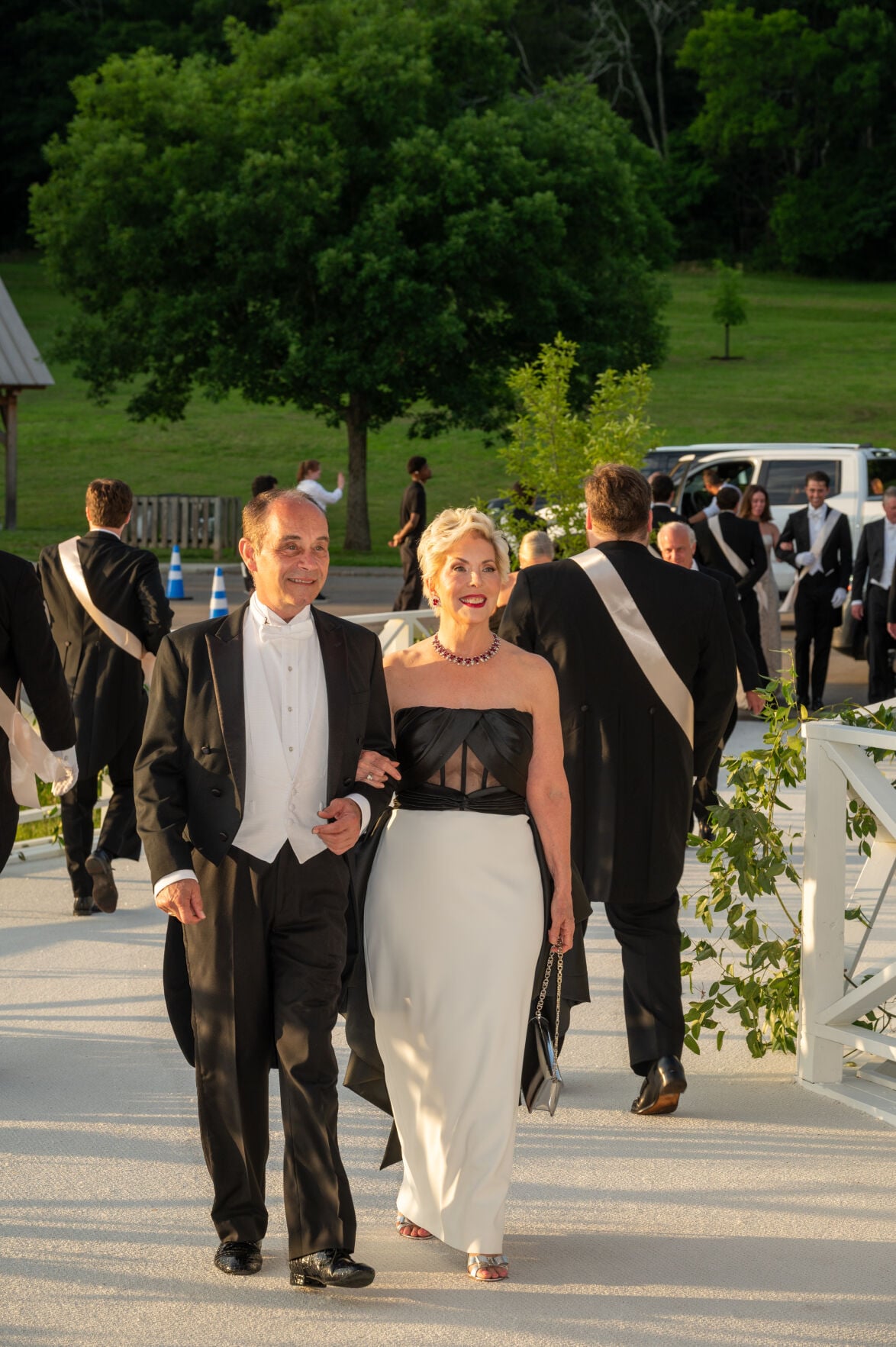 SwanBall26-4845.jpg