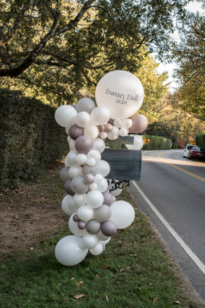 The Swan Ball Co-Chairs Host a Drive-Thru Committee Kick-Off
