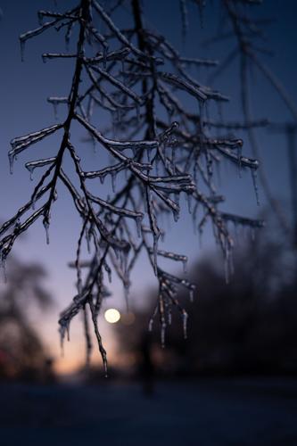 1.26.2026.IceStorm-2024.jpg
