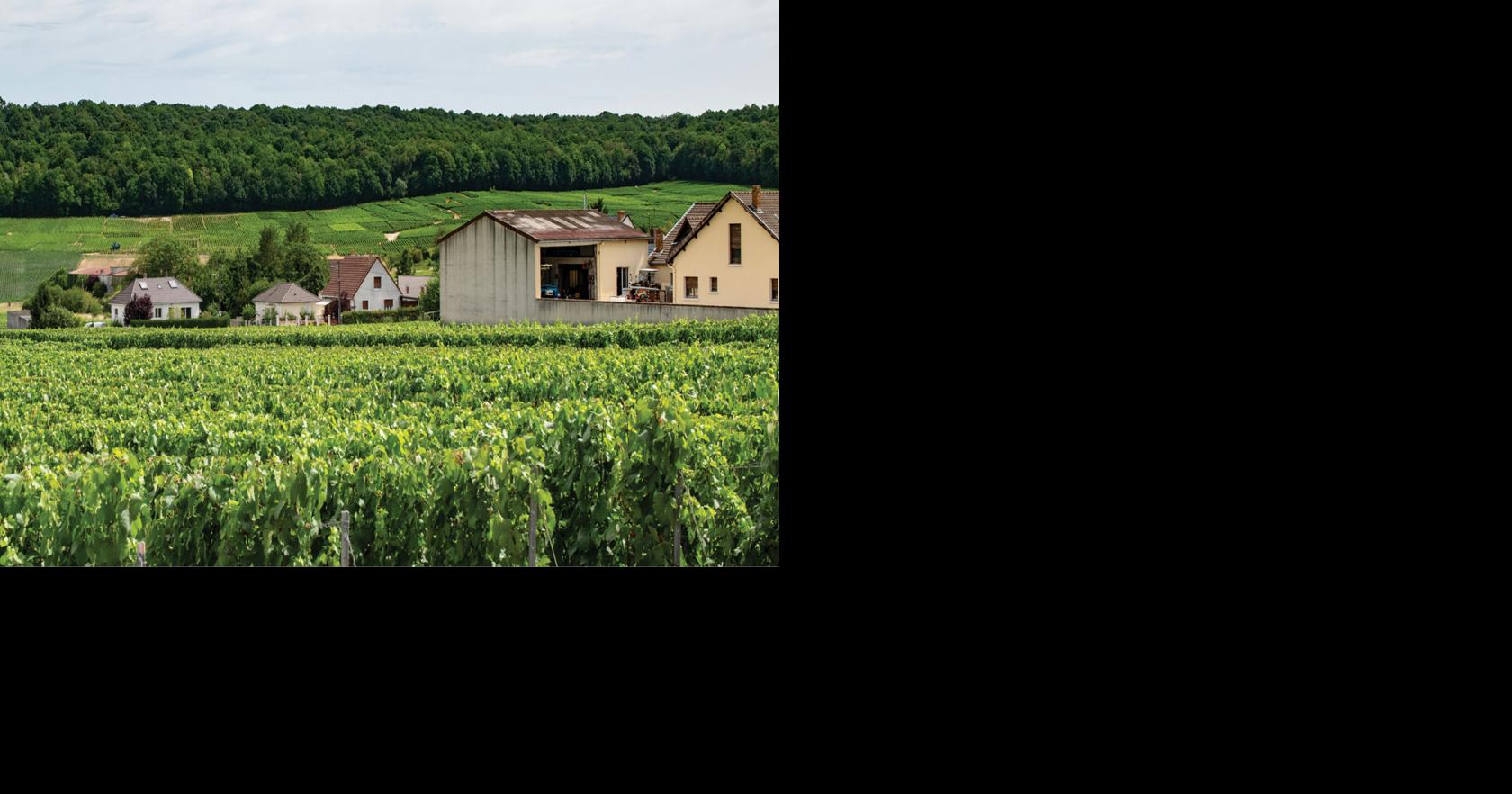 France’s Champagne Region Balances Modernity and Tradition