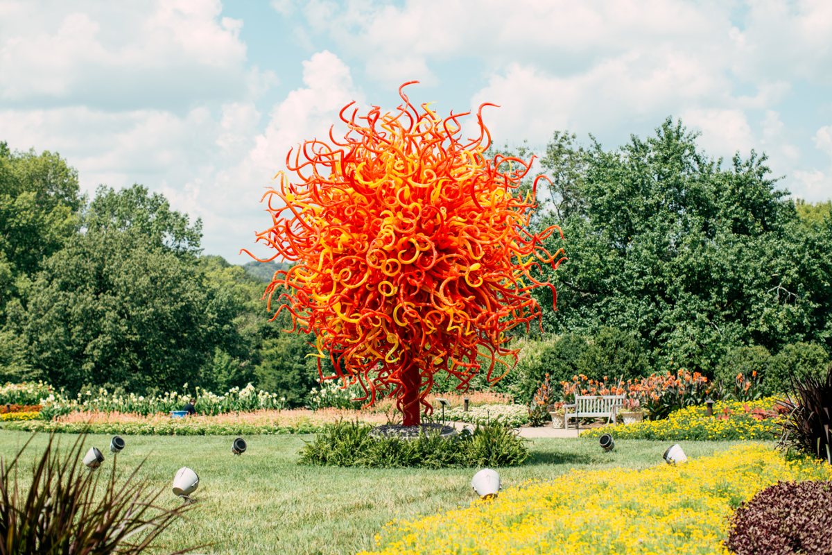 Chihuly at Cheekwood Member Monday: Garden of Glass