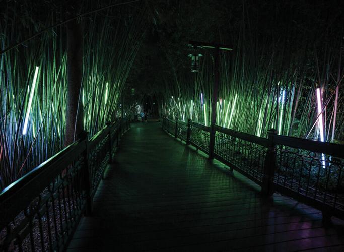 Zoo_453a6435_52038518223_o.jpg