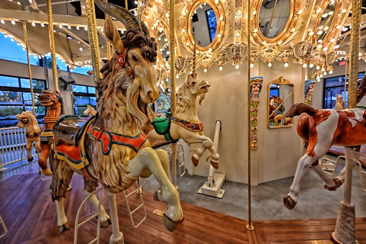 Carousel - Peyton Hoge Photography.JPG