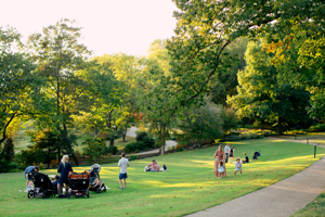 Cheekwood Celebrates Autumn at Fall for Chihuly