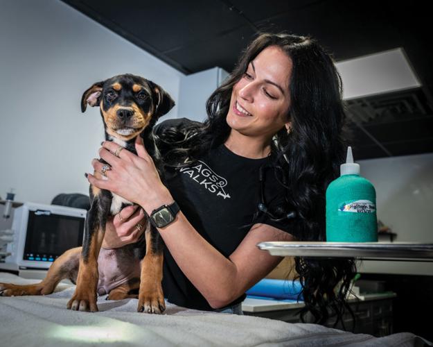 Wags&Walks-8146.jpg