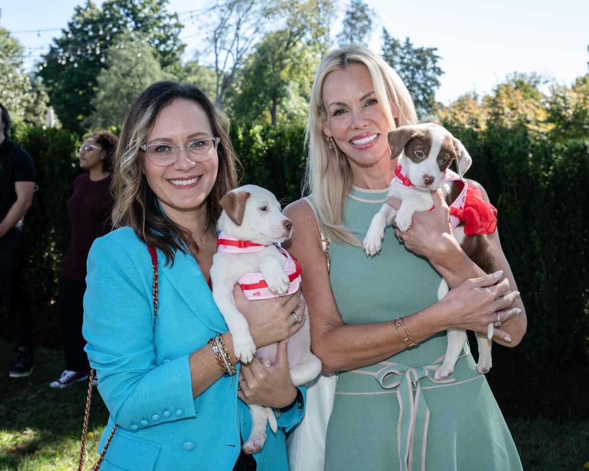 CauseForPaws-7204.jpg
