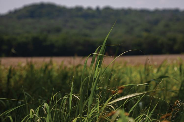 2025FranklinLandTrust_LARGE_-14.jpg