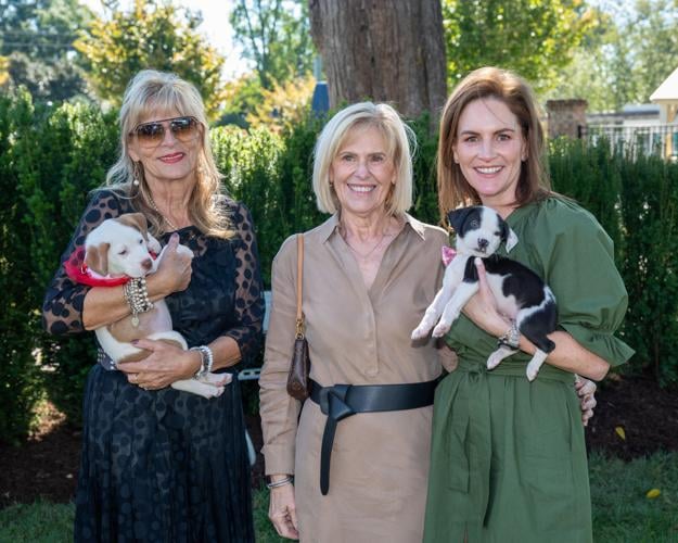 CauseForPaws-7210.jpg