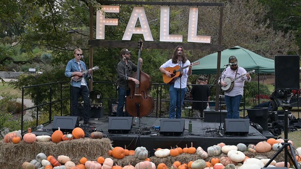 FallForCheekwood-7196.jpg