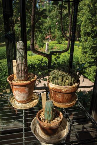 2026LisaManningGarden-14.jpg