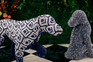 CauseforPaws_0008.jpg