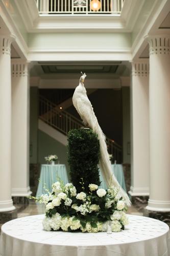 TakingVows-Peacock-6.jpg