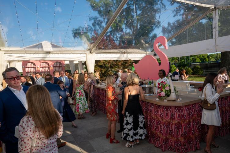 SwanAuctionParty-2019.jpg