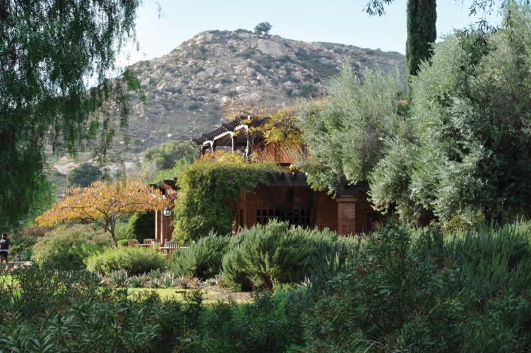 Rancho La Puerta _ dining 2-2.jpg