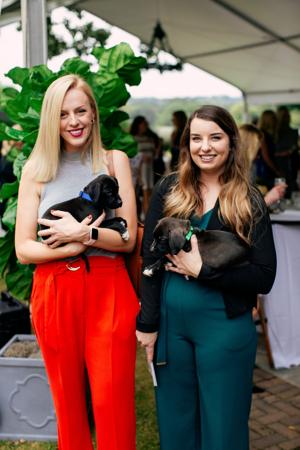 CauseforPaws_0023.jpg