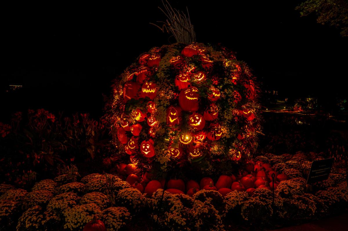 StarryNight-6097-Enhanced-NR.jpg