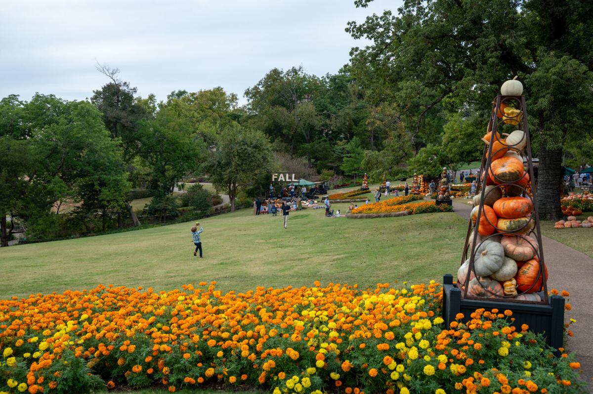 FallForCheekwood-7179.jpg
