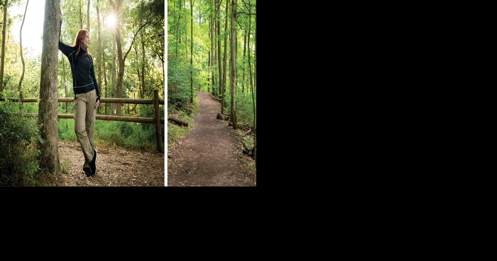Find the Path to Wellness By Taking a Hike