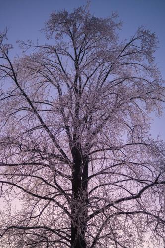 1.26.2026.IceStorm-2007.jpg