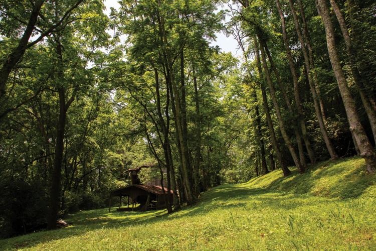 2025FranklinLandTrust_LARGE_-07.jpg