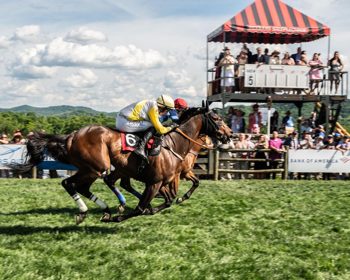 SteepleChase26-1414.jpg