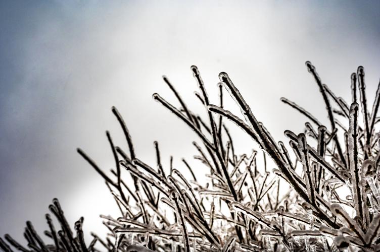 Ice Storm-6373.jpg