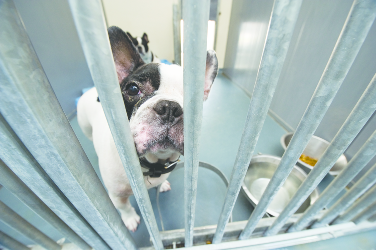 How to Save a Life | | nfocusmagazine.com