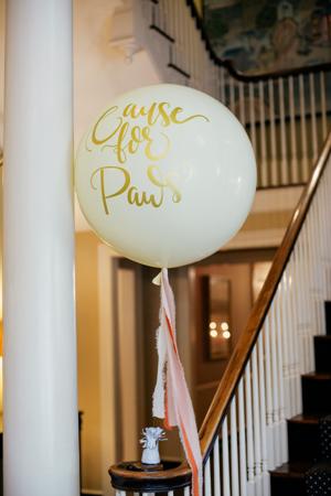 CauseforPaws_0062.jpg