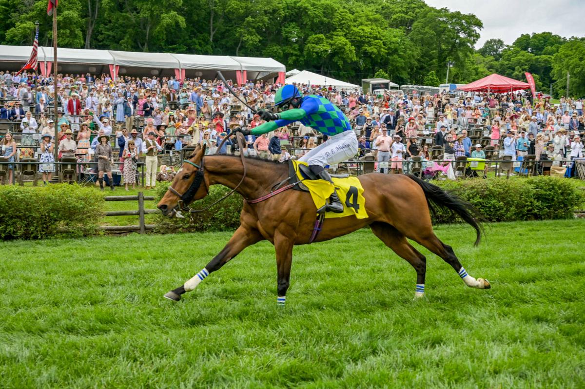 Steeplechase25-9615.jpg