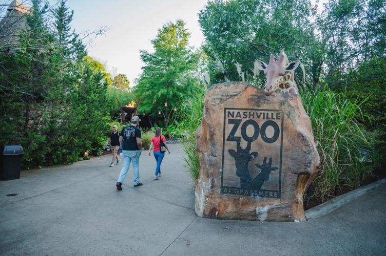 9-17-2026.SunsetSafari-5601.jpg