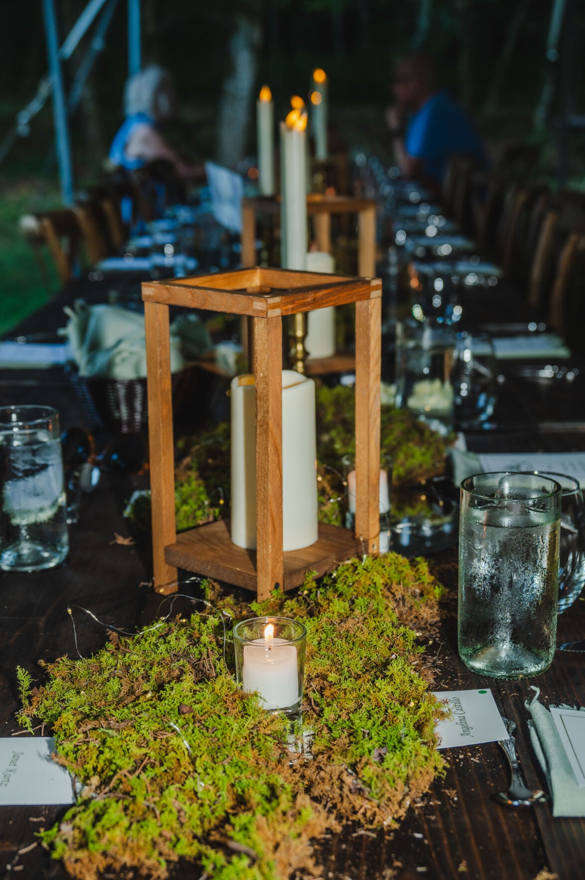 9-13-2026.DinnerintheForest-4910.jpg