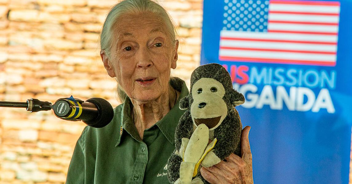 UCF College of Sciences community mourns the loss of Jane Goodall