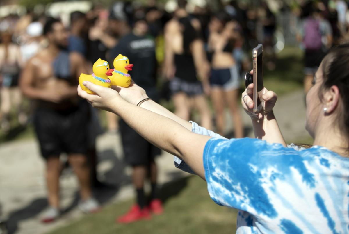 duckphoto.jpg