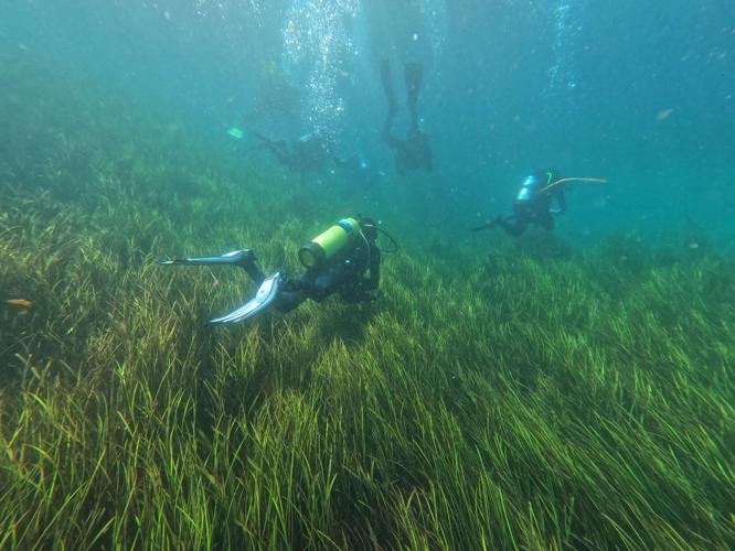 UCF SCUBA Club #39 Dives Against Debris #39 and works toward a cleaner