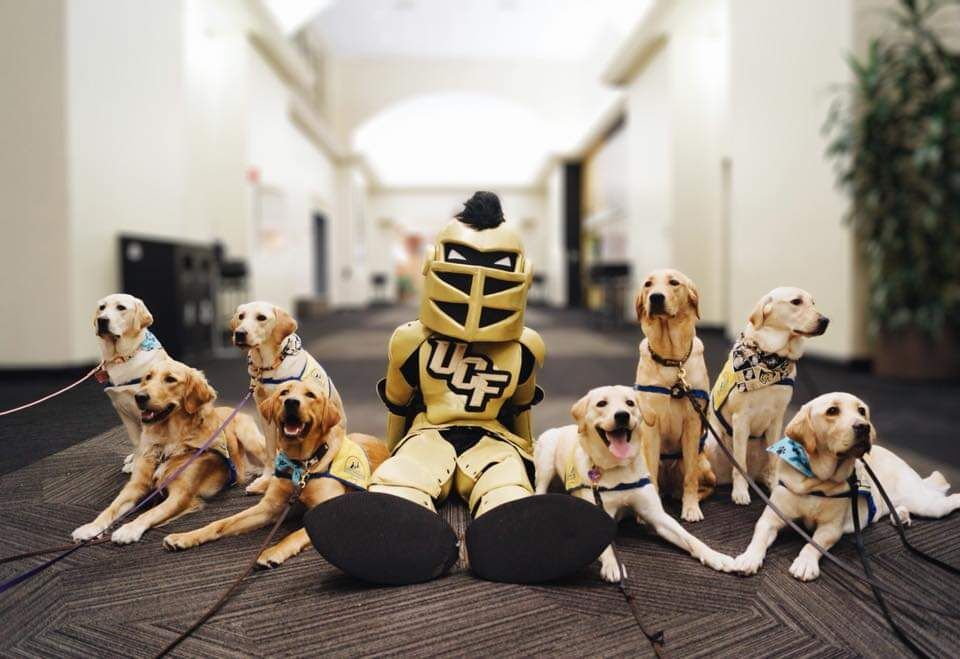 STEP at UCF