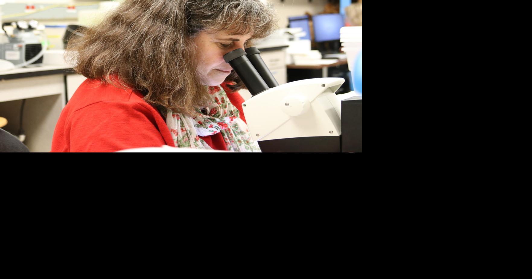 UCF biology professor given Florida Academy of Sciences 2021 Medalist ...