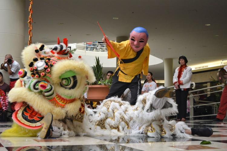 Photos From The 2016 Vietnamese Lunar New Year Festival 