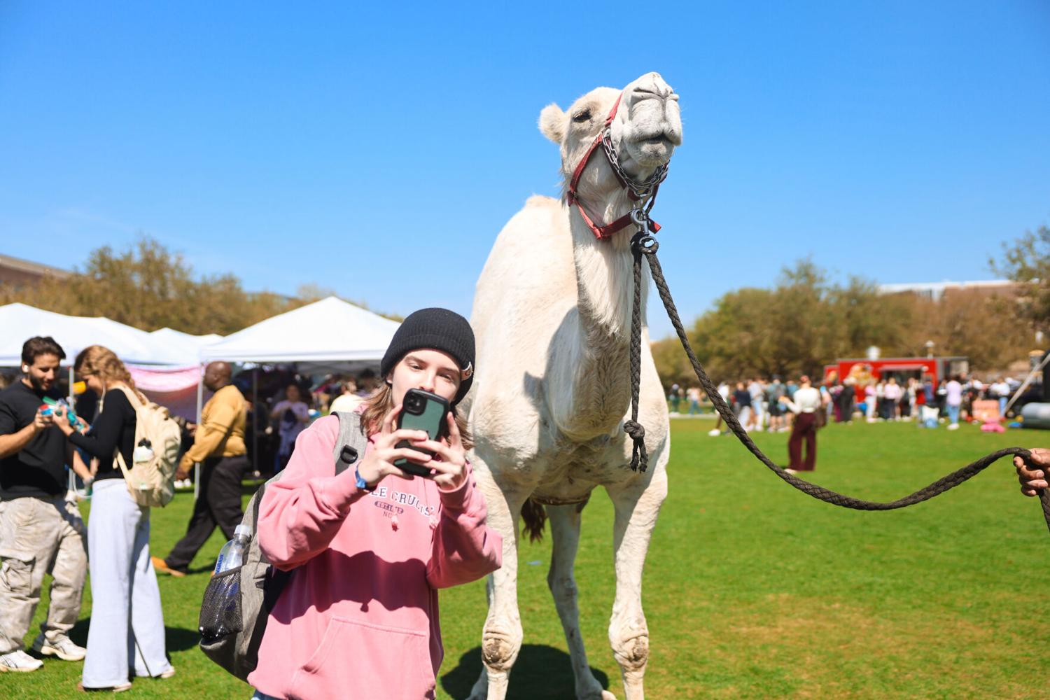 Block party celebrating Jewish culture draws hundreds to Memory Mall