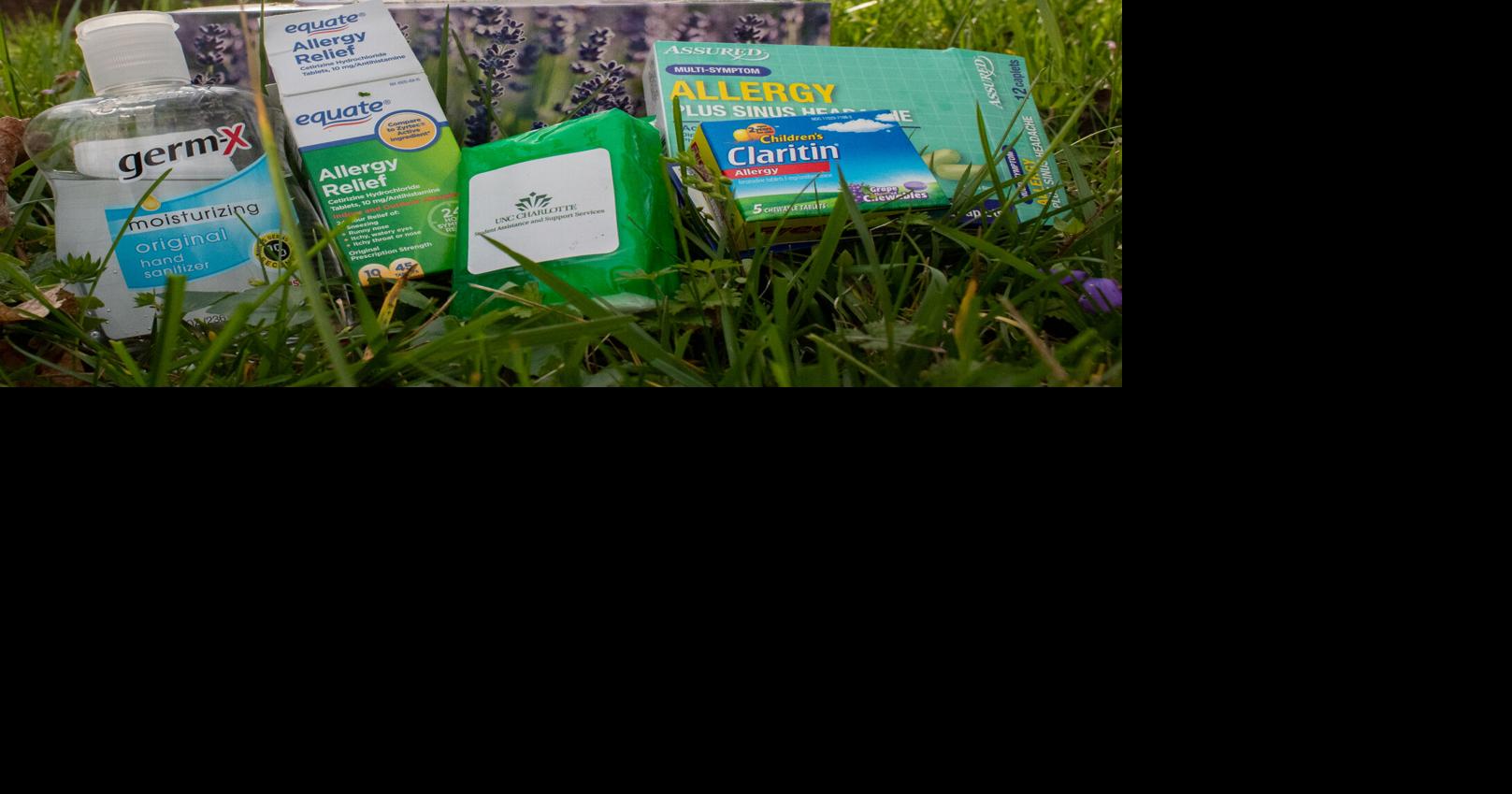 How to spring allergies Arts And Culture