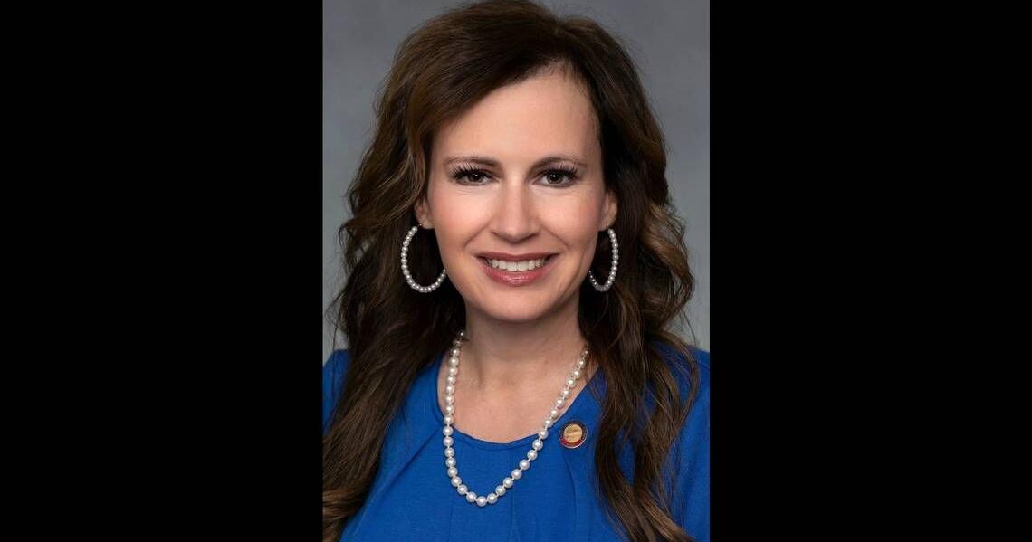 Mecklenburg area N.C. Representative switches parties from Democrat to ...