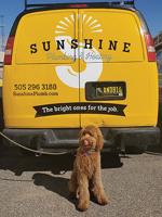 Sunshine Helps You Keep Cool in the Dog Days