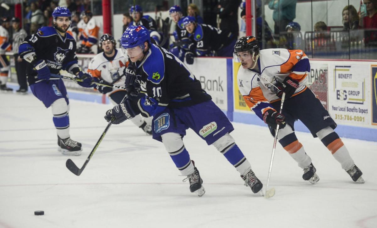 Wolves Pulde Aces First Pro Test In Goal Sports Nny360 Com