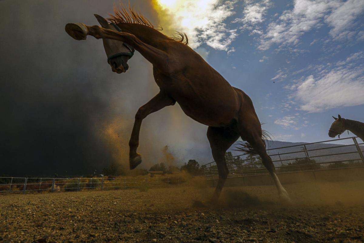 California S Bobcat Fire Explodes To 91k Acres Nation And World Nny360 Com
