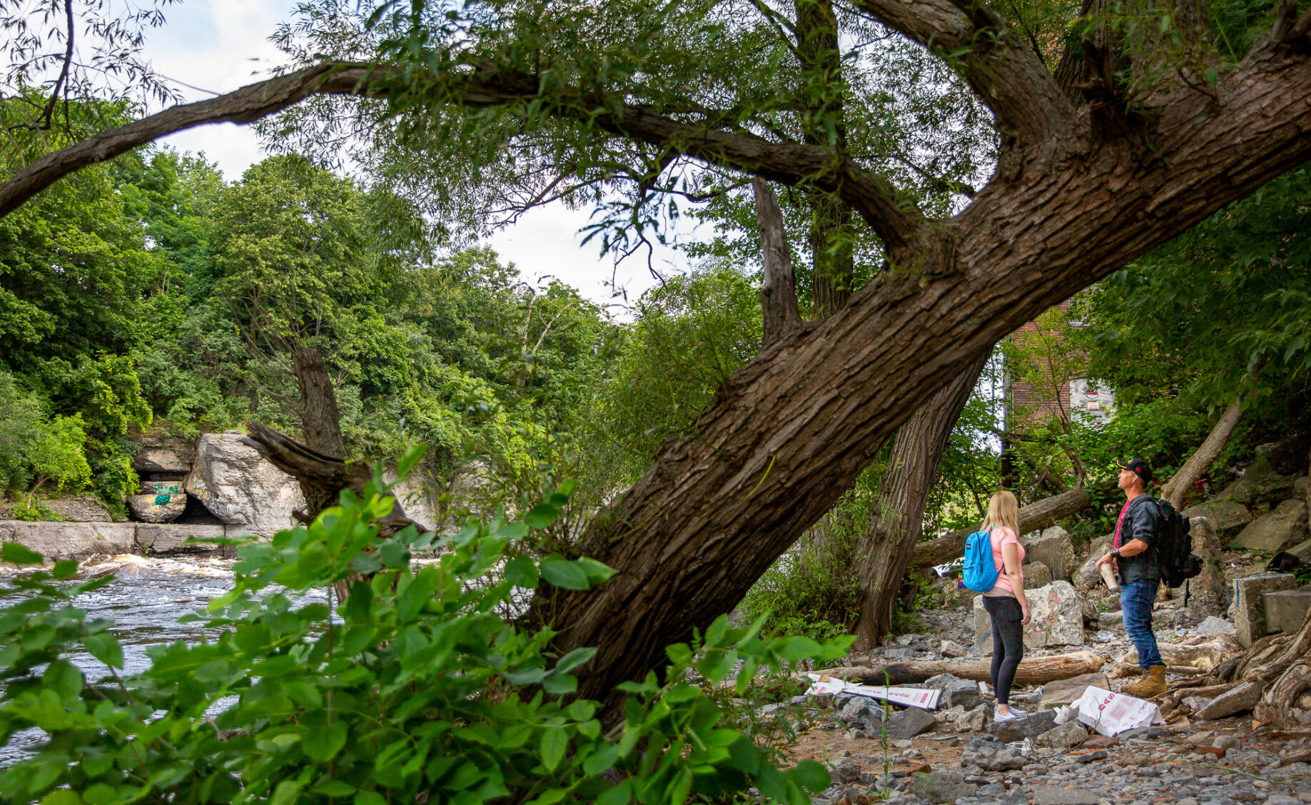 'Homeless No More' event connects those in need with resources, volunteers take to the streets for outreach | Community Notes - Vimarsana News